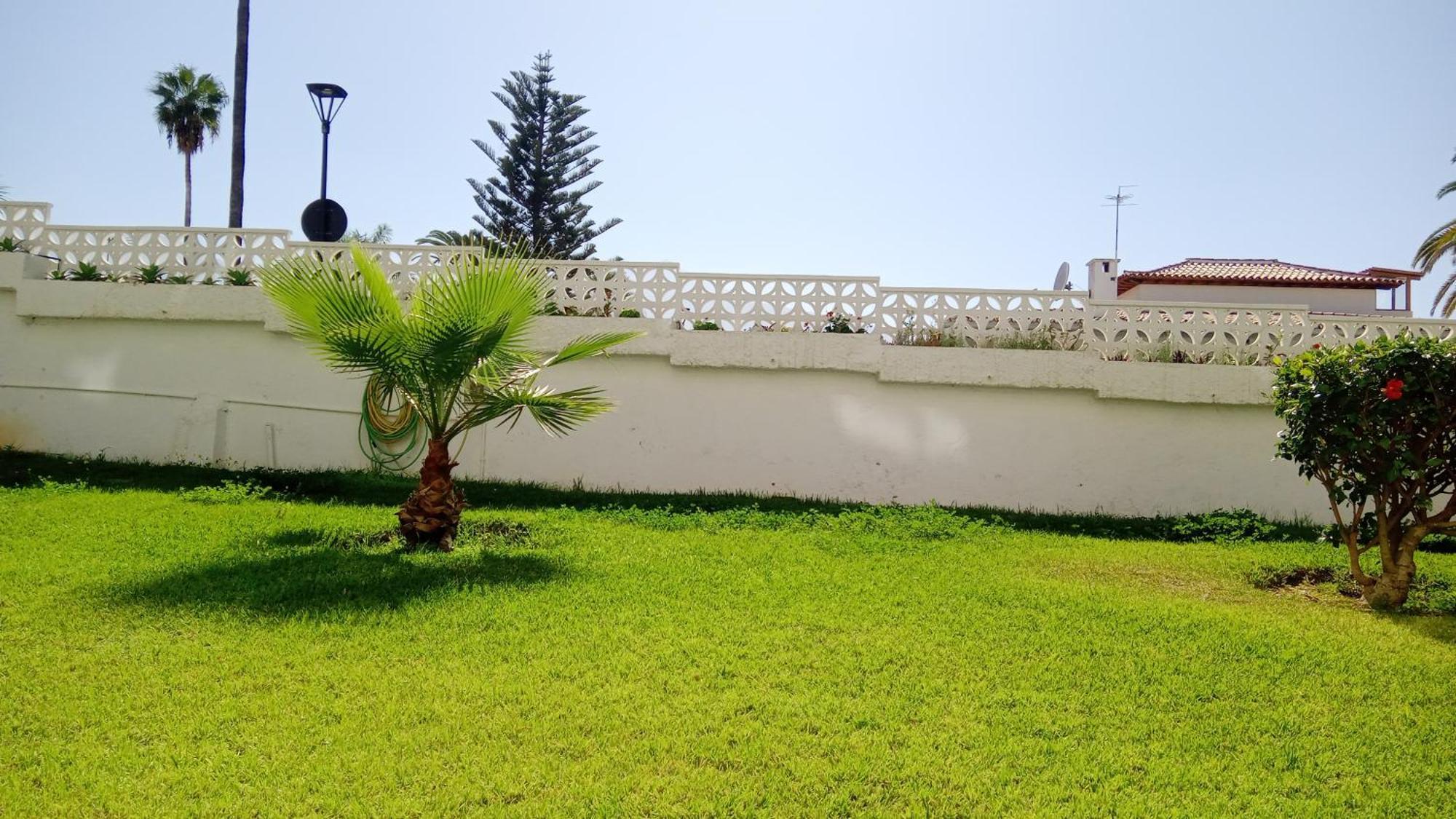 Luminoso Y Tranquilo Estudio Zona Botanico Puerto de la Cruz  Exterior photo